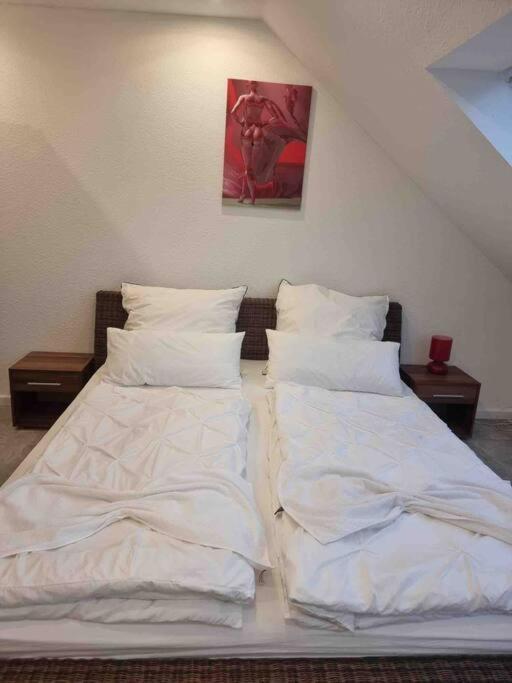 B01 Apartment Between Cologne & Bonn With Nature Access ترويسدورف المظهر الخارجي الصورة